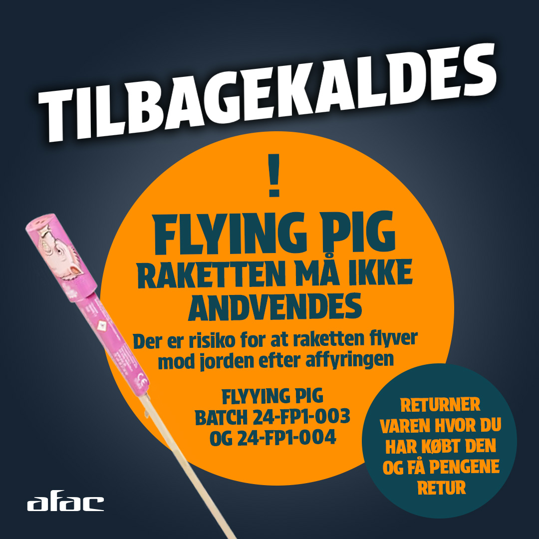 Flying Pig-raket